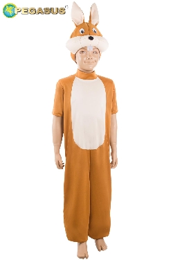 Costume da riccio sale fai da te